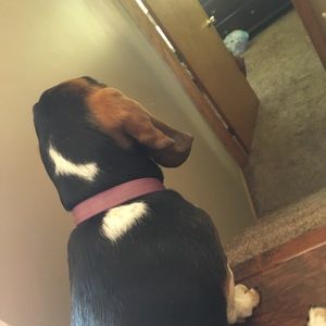 Meet your Posher, Mylee